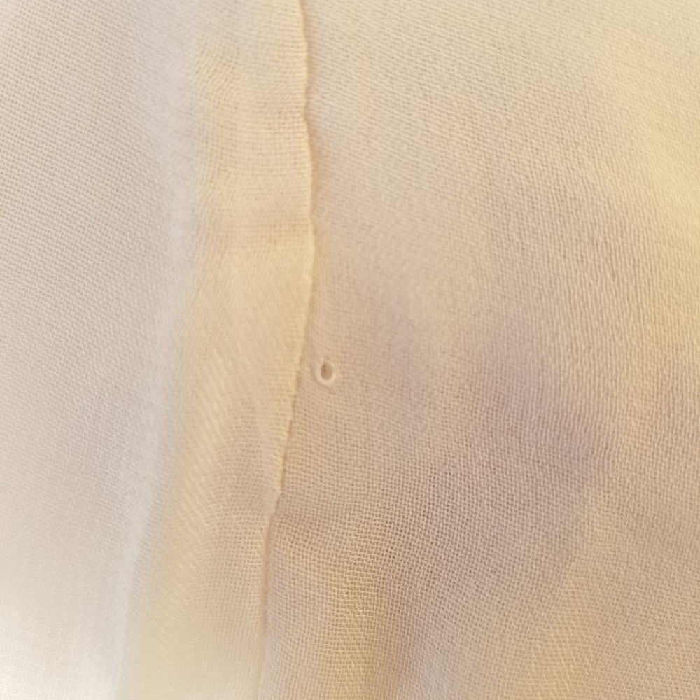 Zara Limited Edition semi-sheer blouse - Picture 5 of 6